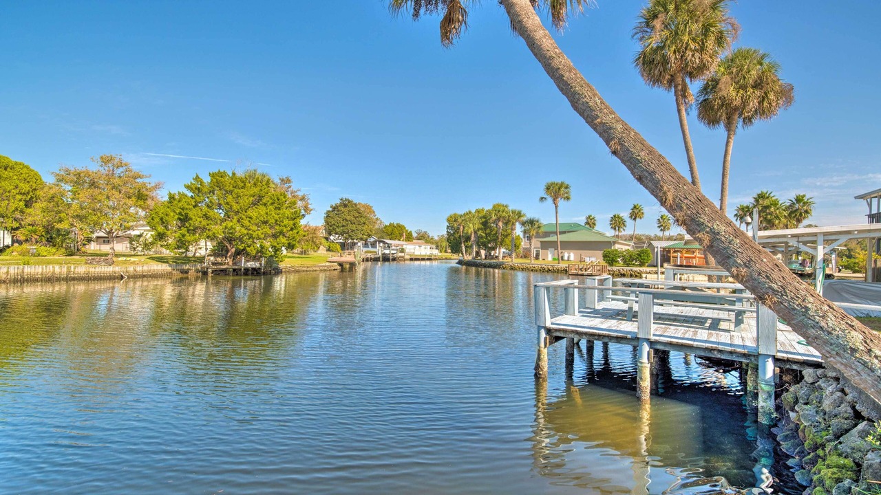 Photo of Others in Homosassa