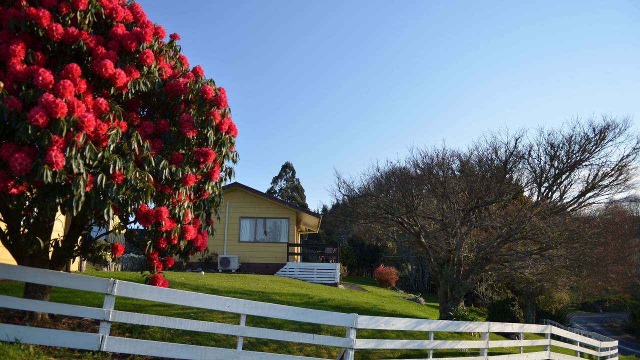 Photo of Outdoor in Waitomo Caves