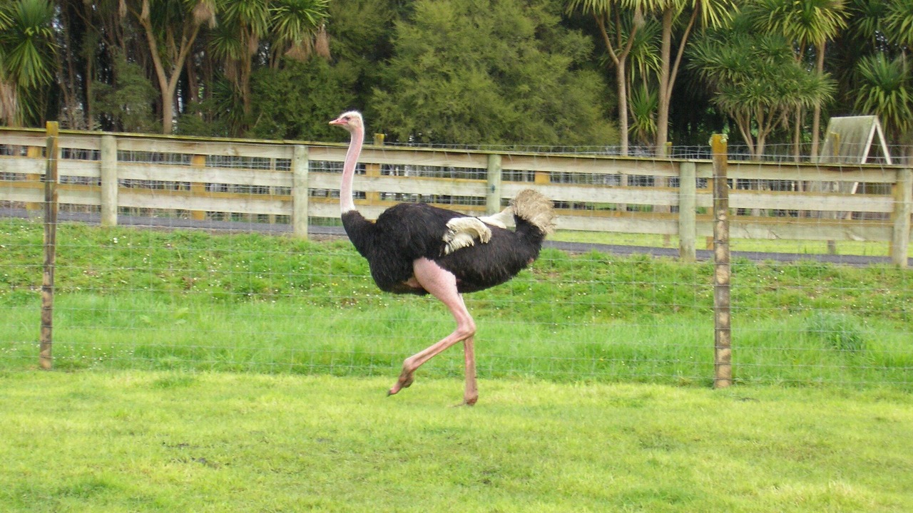 Photo of Others in Waitomo Caves