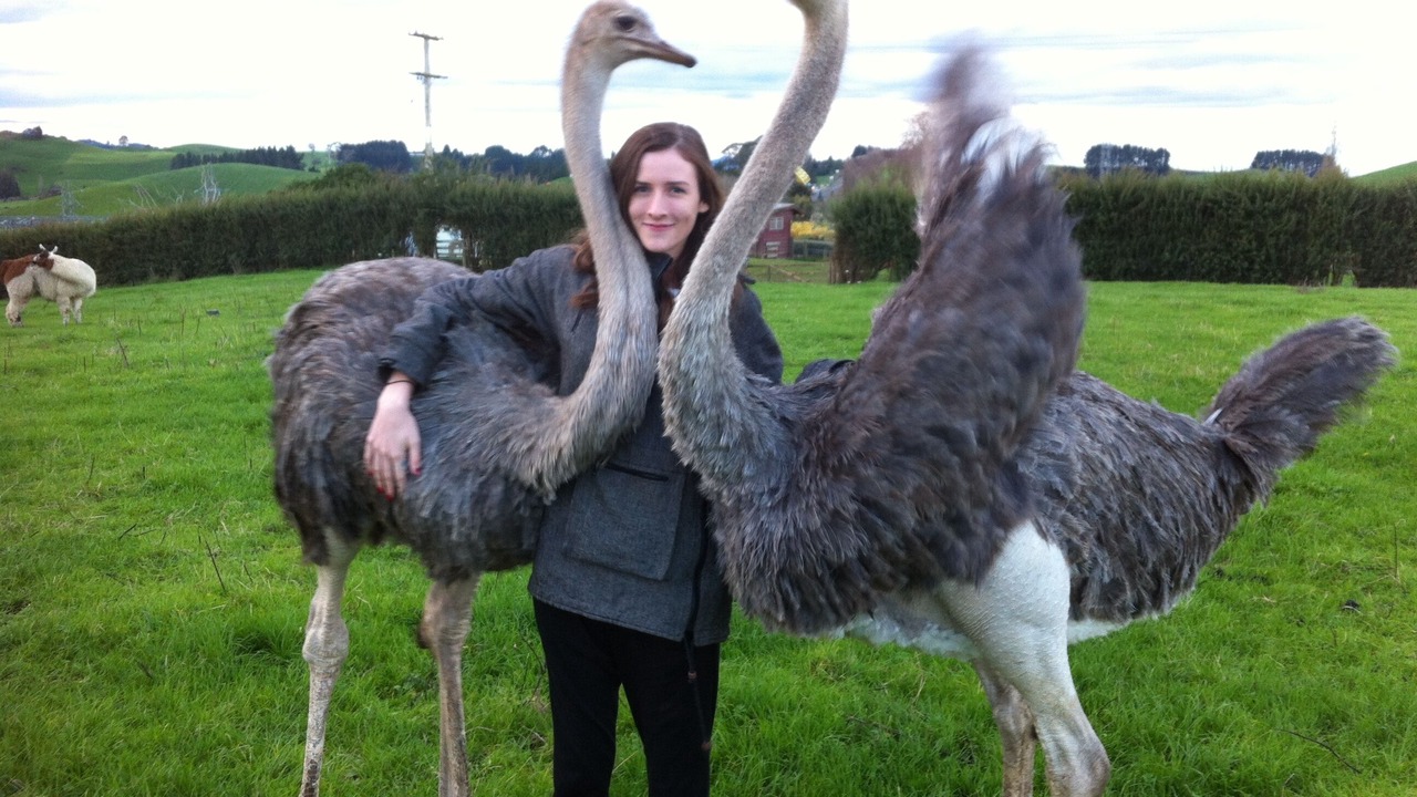 Photo of Others in Waitomo Caves