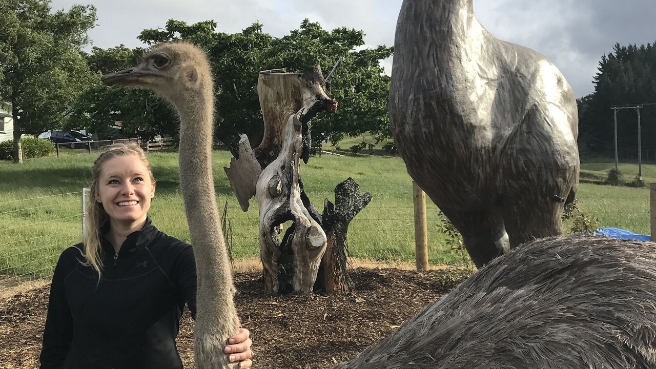 Photo of Others in Waitomo Caves