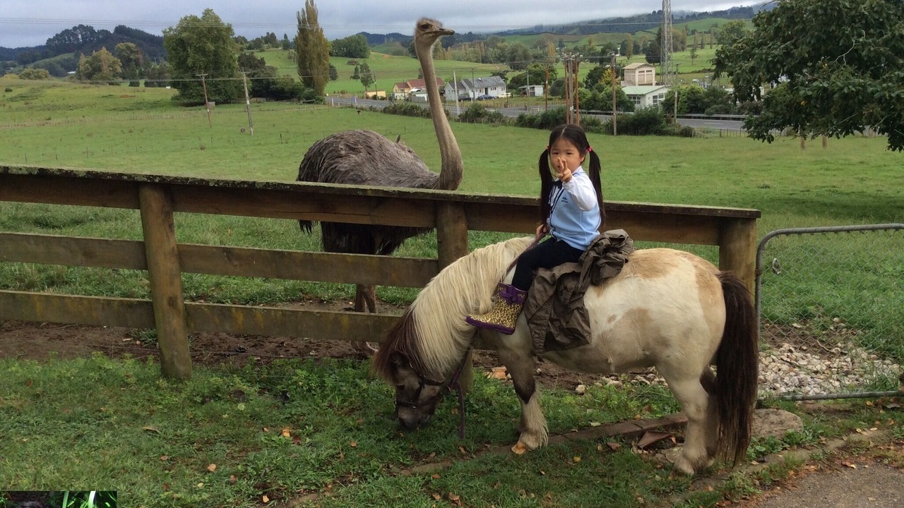 Photo of Others in Waitomo Caves