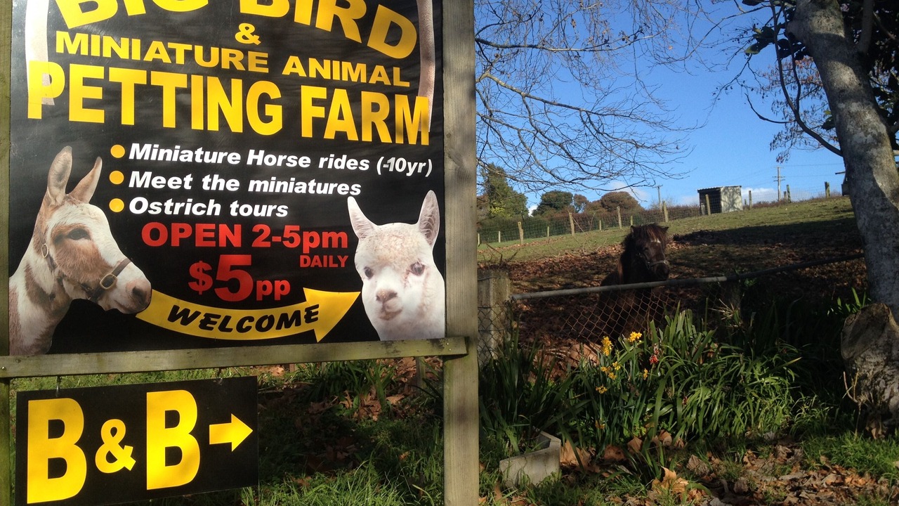 Photo of Outdoor in Waitomo Caves