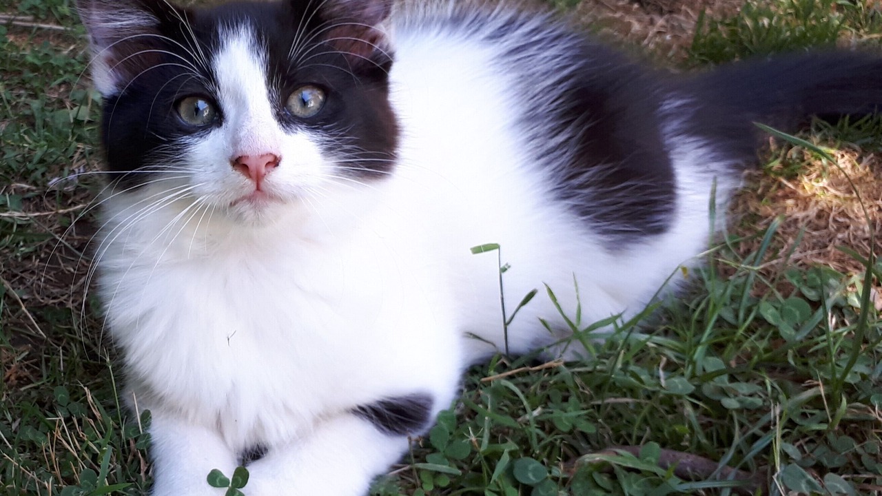 Photo of Others in Waitomo Caves