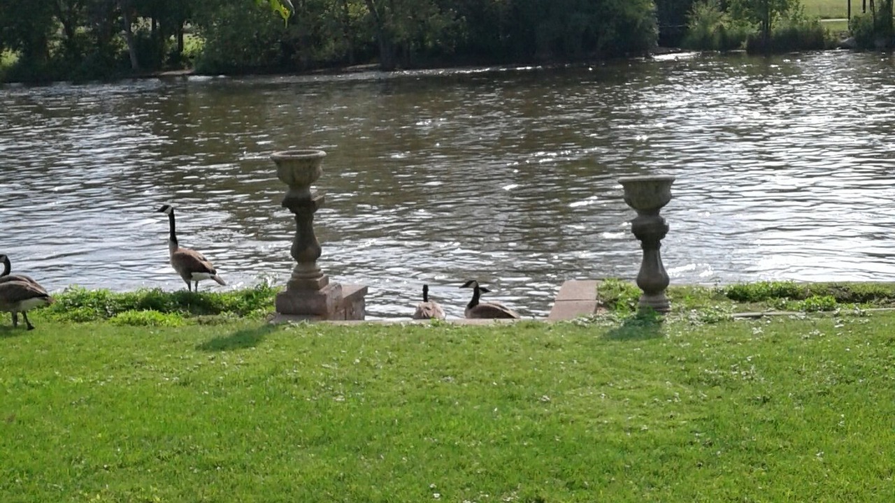 Photo of Others in South Elgin