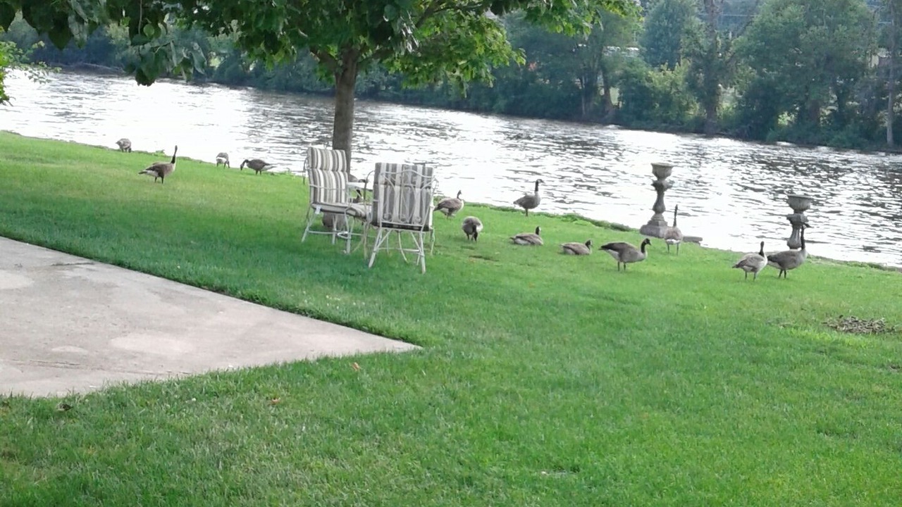 Photo of Outdoor in South Elgin