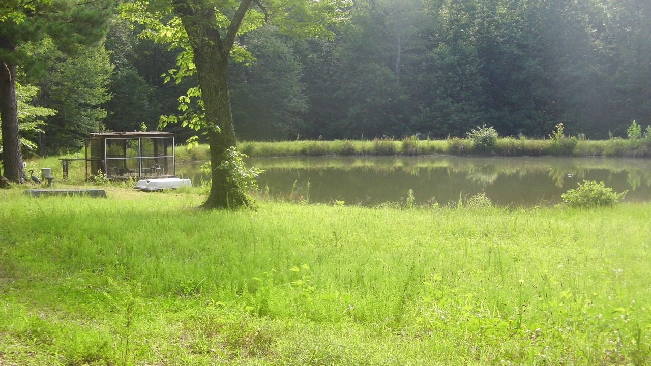 Photo of Outdoor in Buchanan