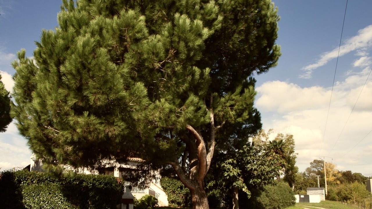 Photo of Outdoor in Ghisonaccia