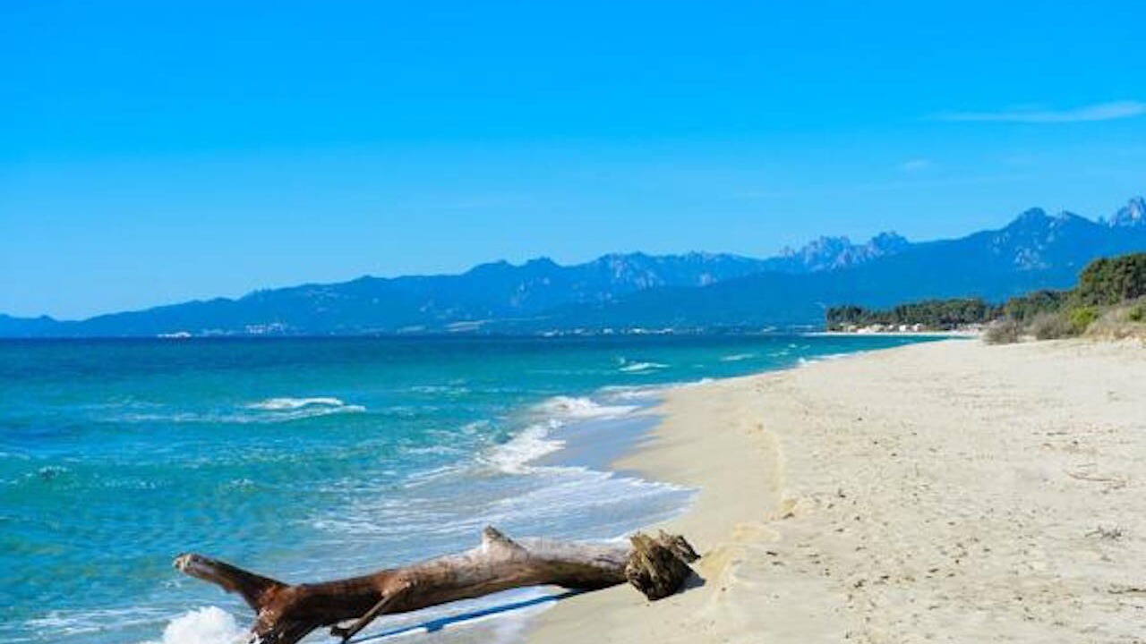 Photo of Others in Ghisonaccia