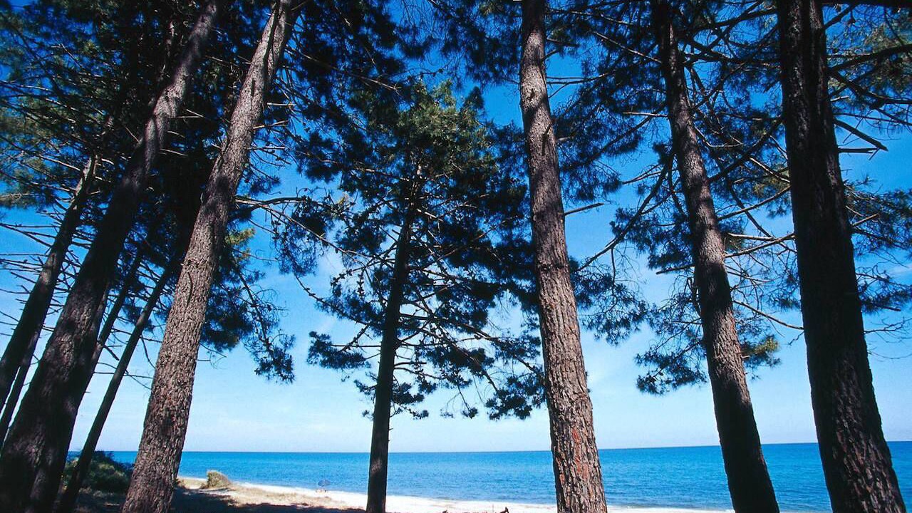 Photo of Others in Ghisonaccia