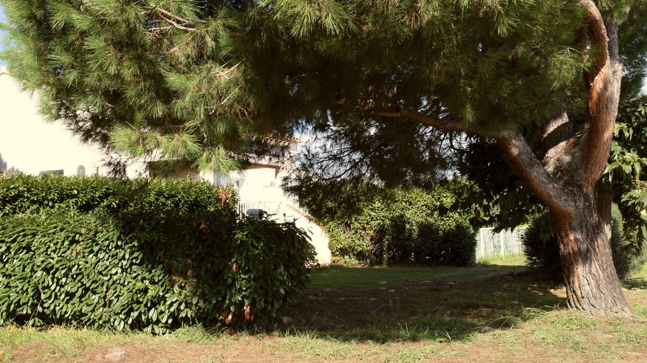 Photo of Outdoor in Ghisonaccia