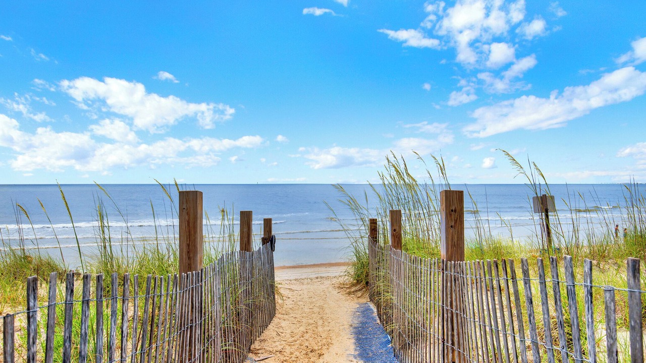 Photo of Others in Tybee Island