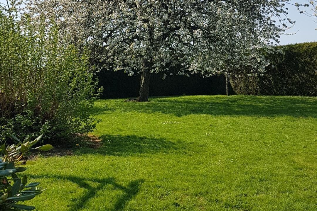 Photo of Outdoor in Billancelles