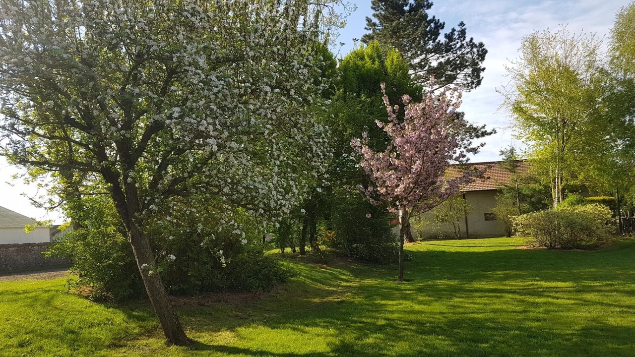 Photo of Outdoor in Billancelles