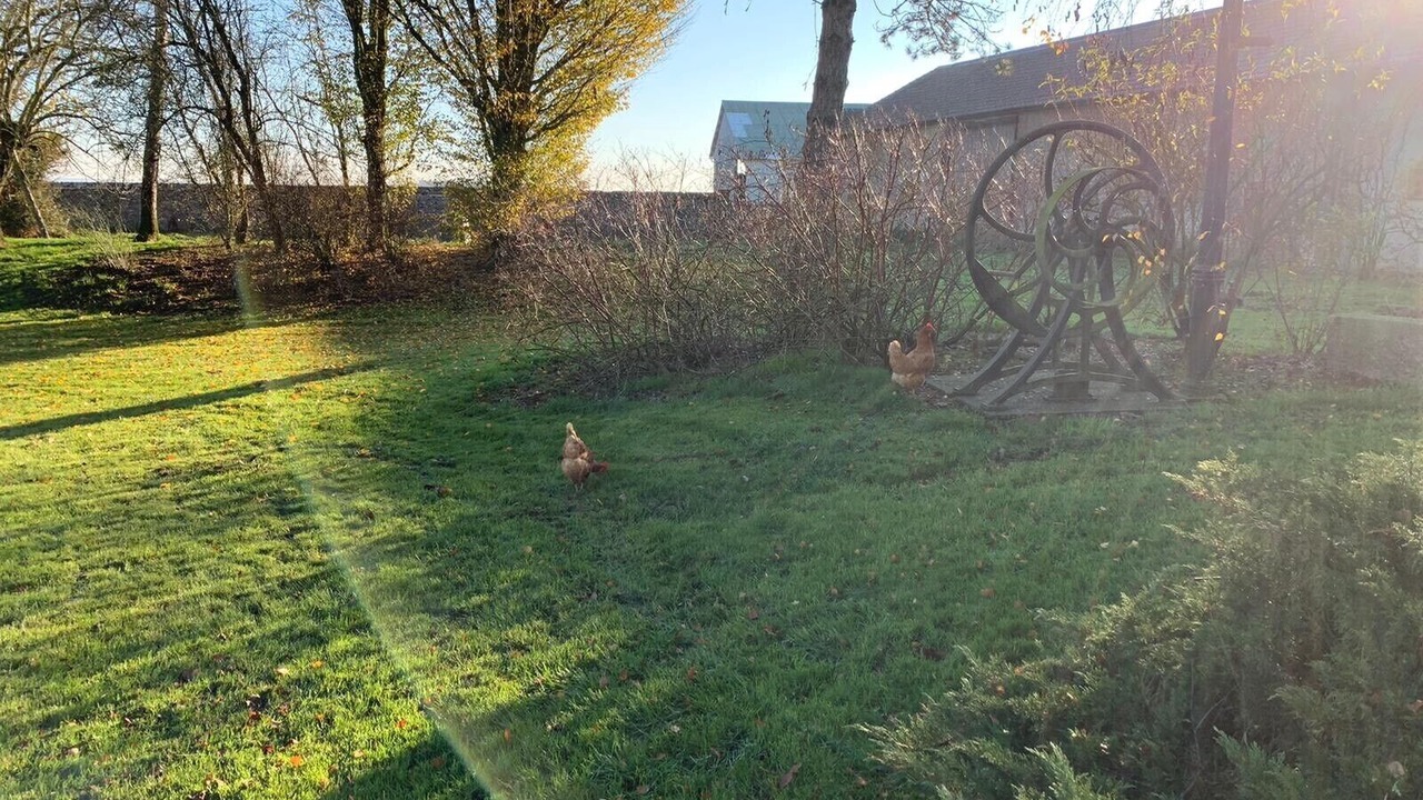 Photo of Outdoor in Billancelles