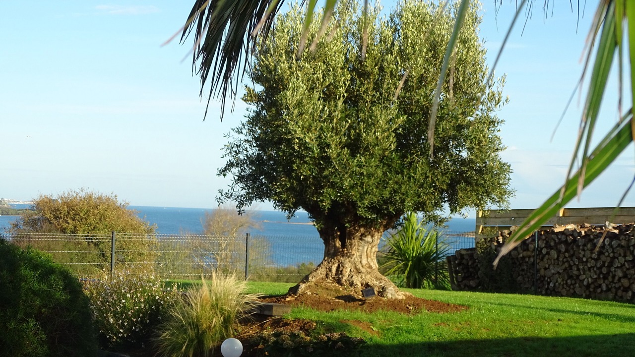 Photo of Outdoor in Henvic