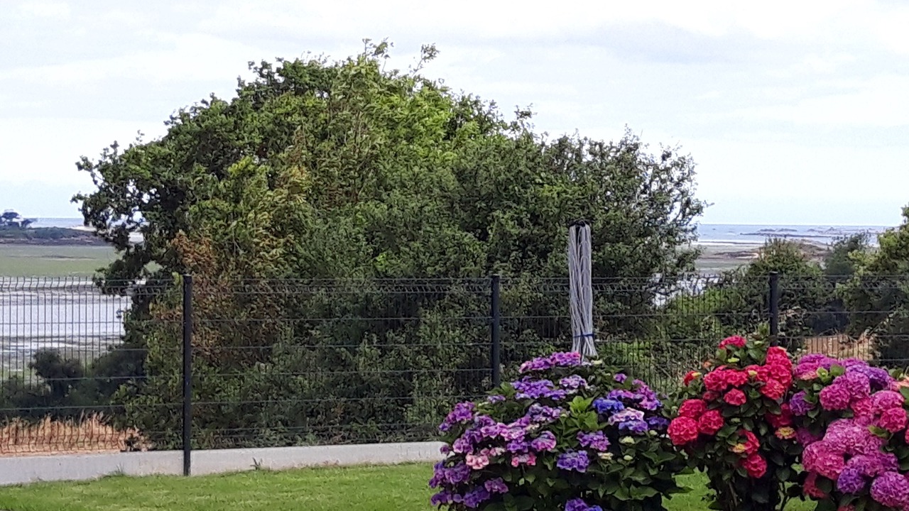 Photo of Outdoor in Henvic