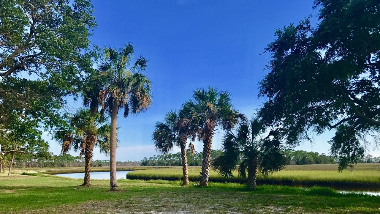 Photo of Others in Fish Creek