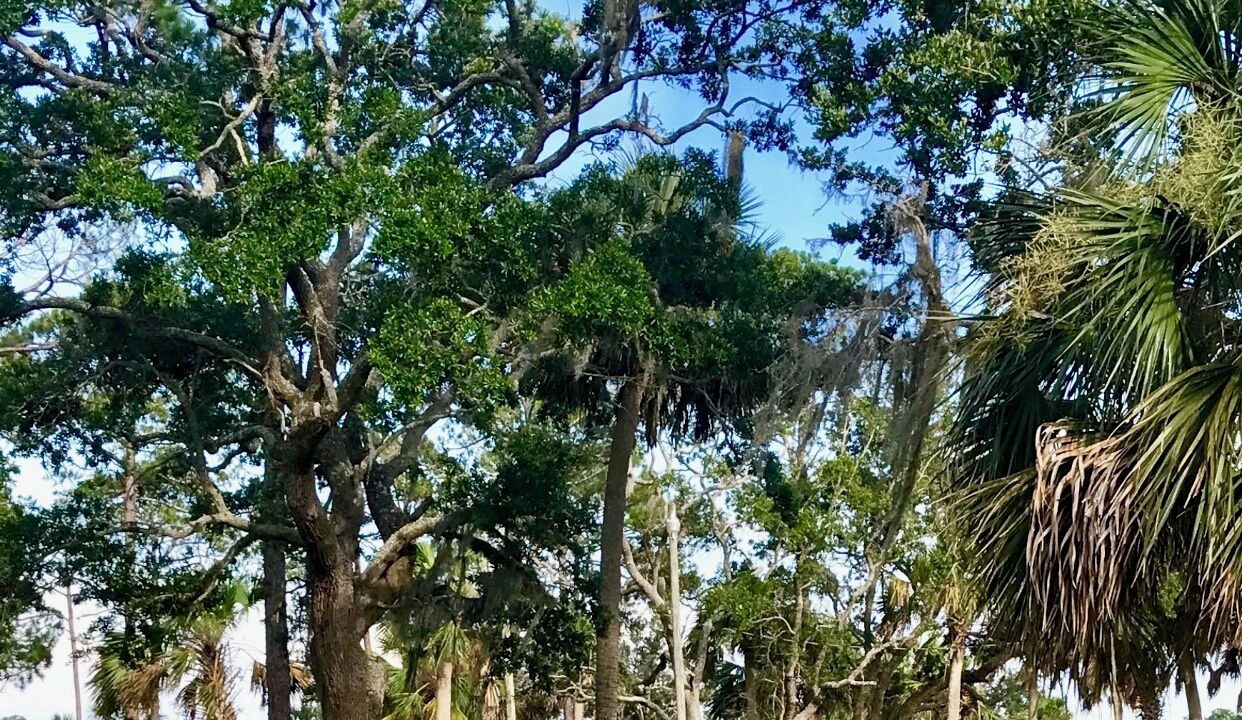 Photo of Others in Fish Creek