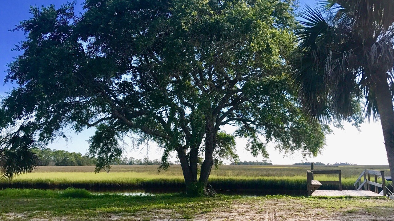 Photo of Outdoor in Fish Creek