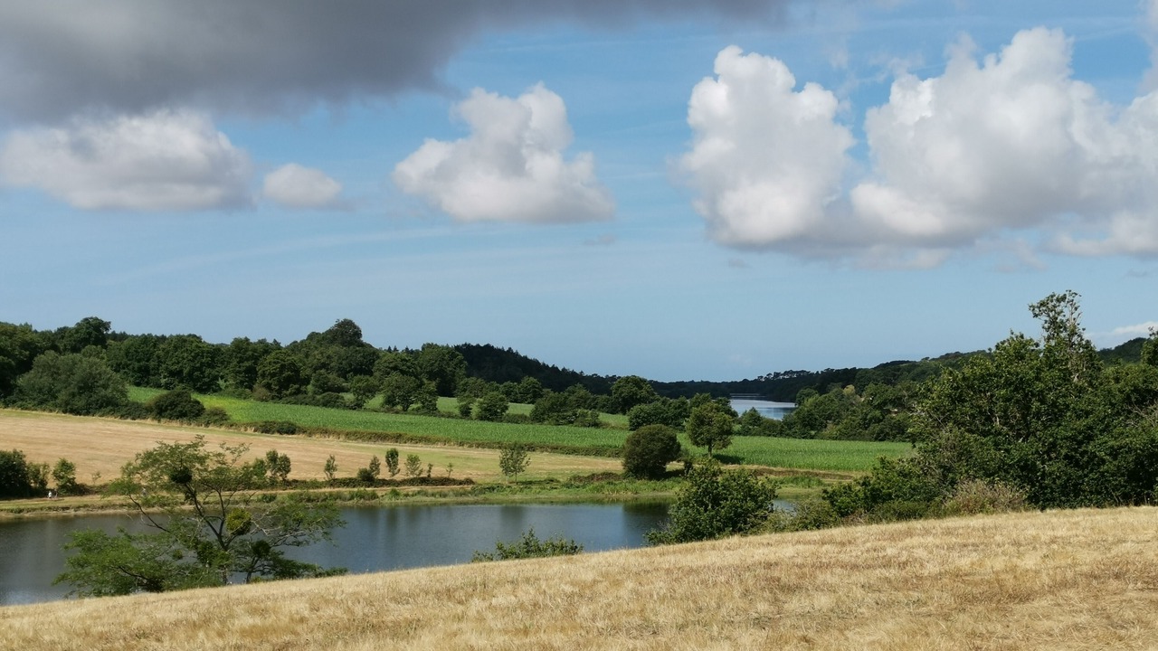 Photo of Outdoor in La Chapelle-Hermier