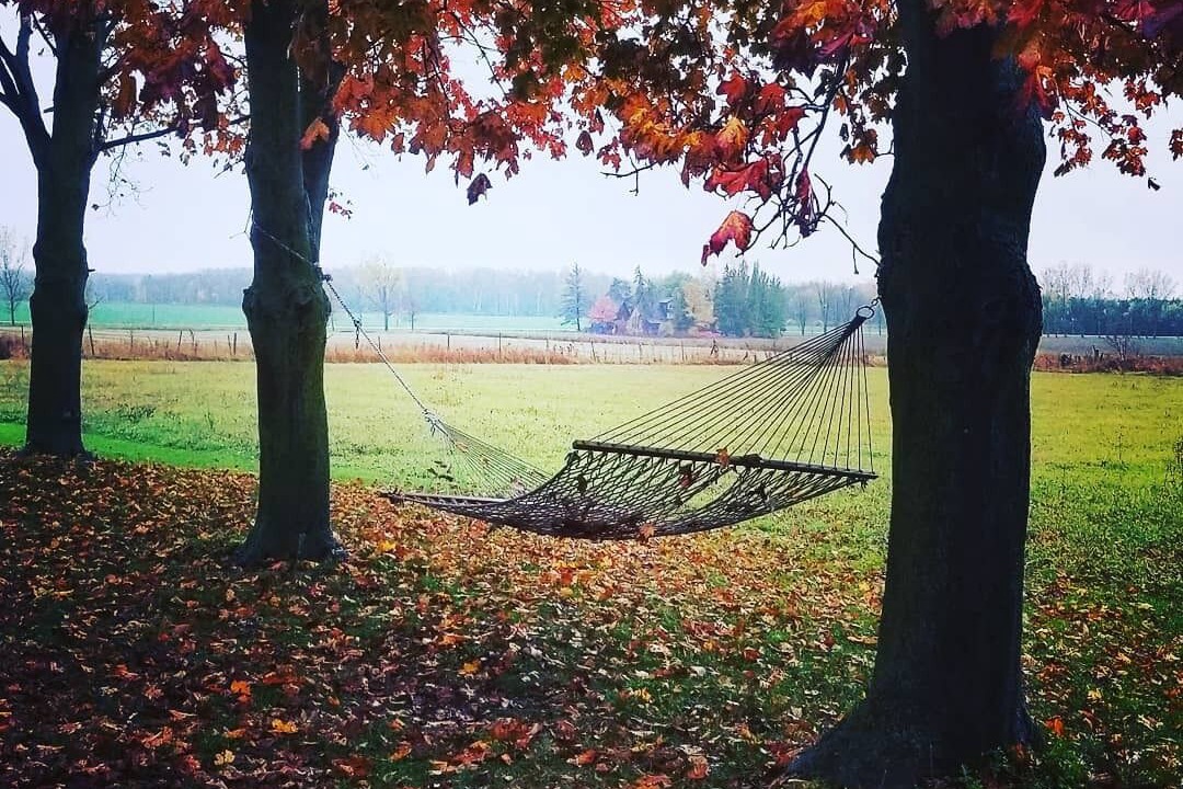 Photo of Outdoor in Clearview Township