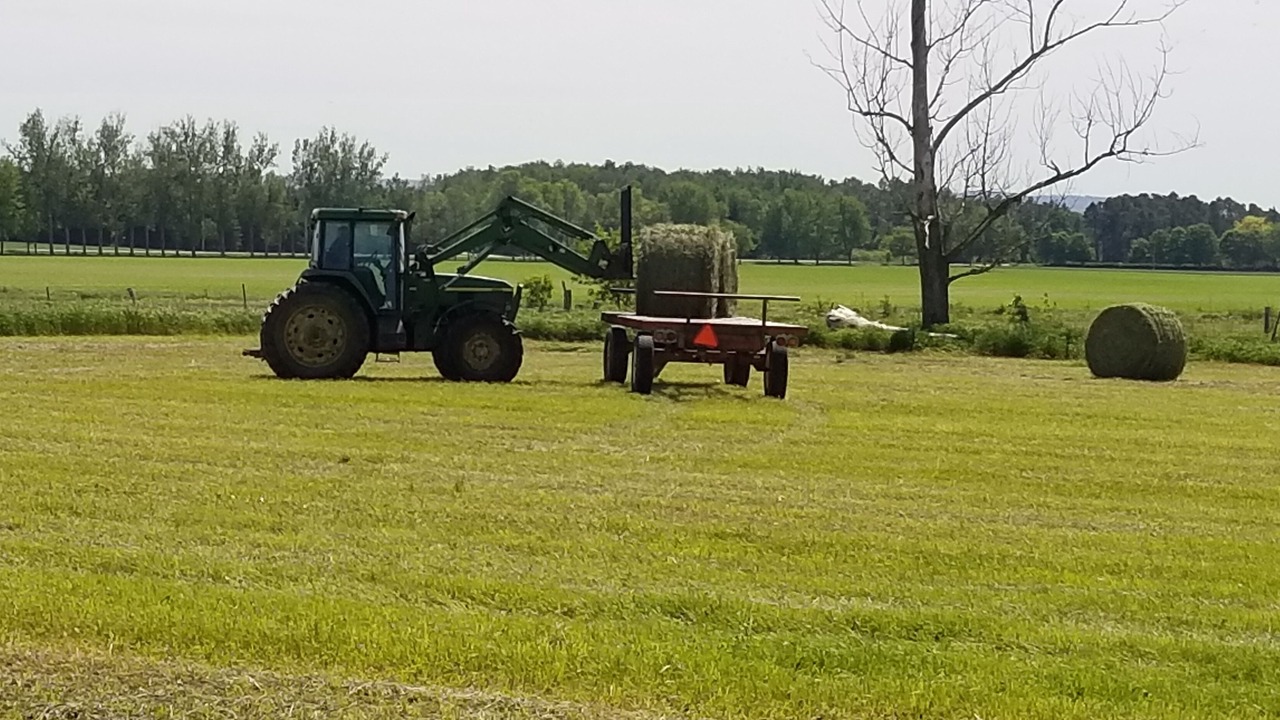 Photo of Others in Clearview Township