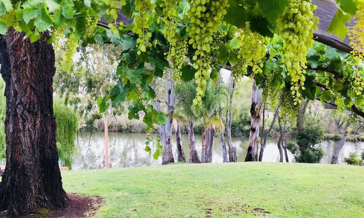 Photo of Others in Kirwans Bridge