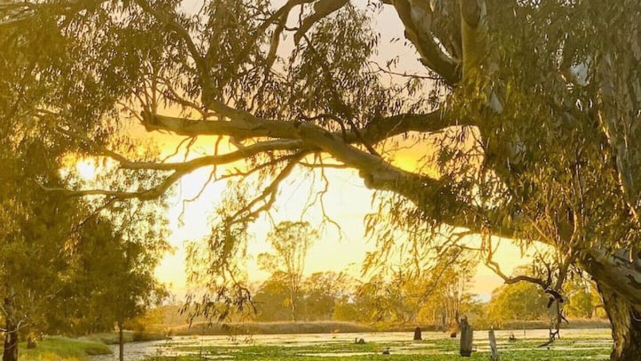 Photo of Others in Kirwans Bridge