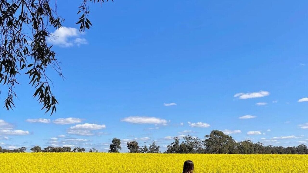 Photo of Others in Kirwans Bridge