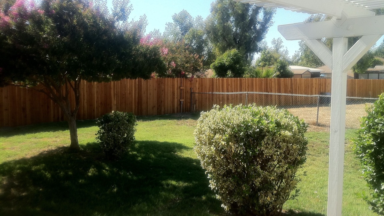 Photo of Outdoor in Chino