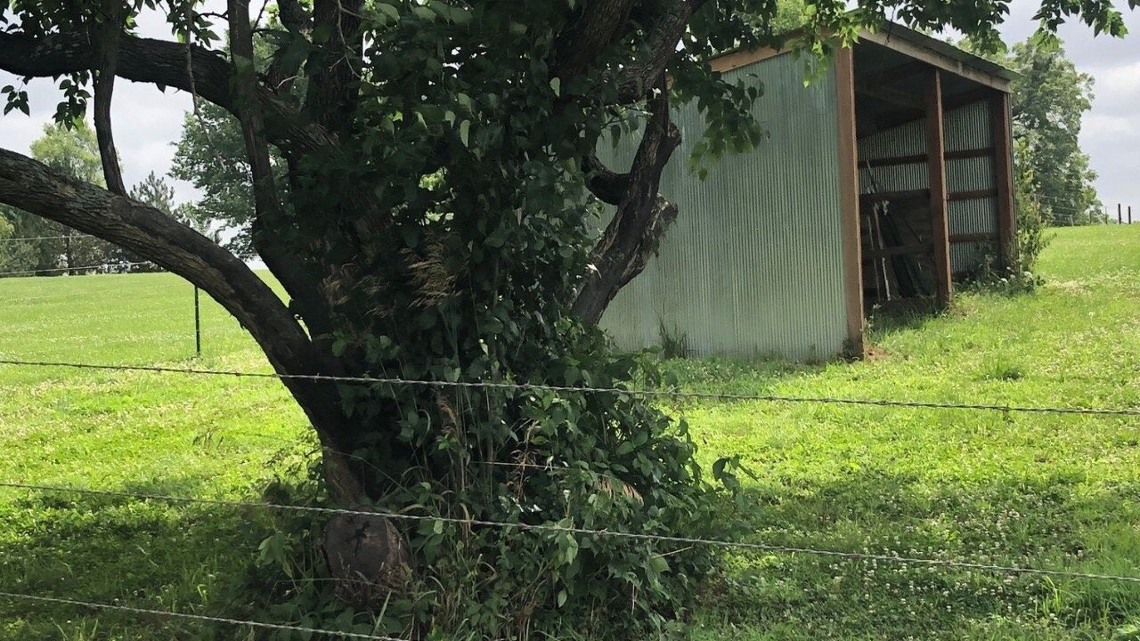 Photo of Outdoor in Lenexa