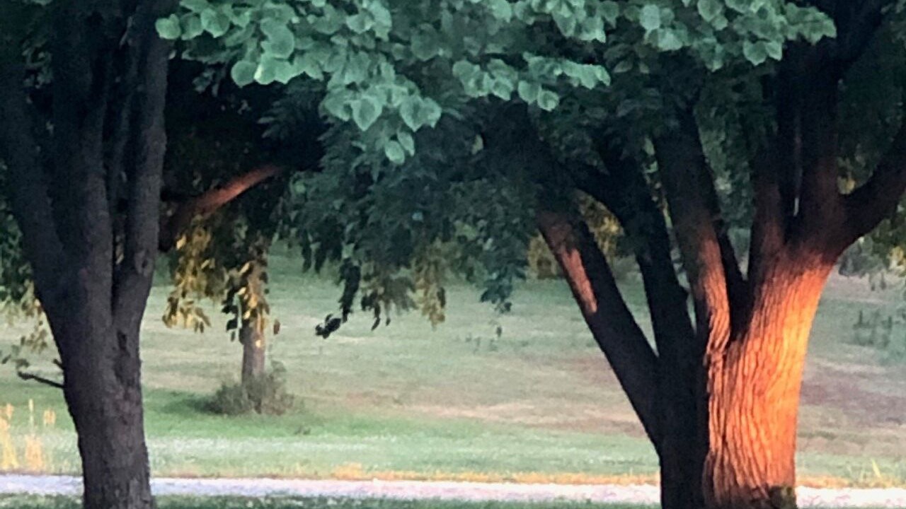 Photo of Others in Lenexa