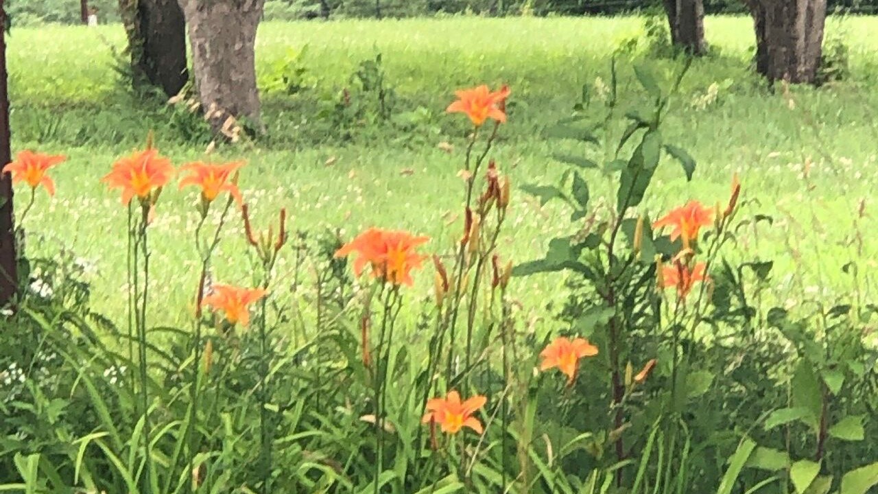 Photo of Outdoor in Lenexa