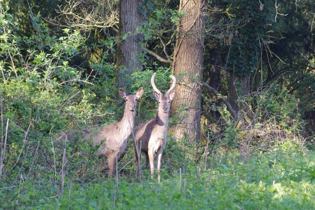 Photo of Outdoor in Saint-Mars-du-Desert