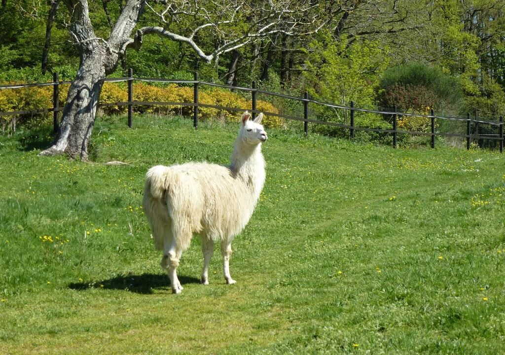 Photo of Outdoor in Saint-Mars-du-Desert