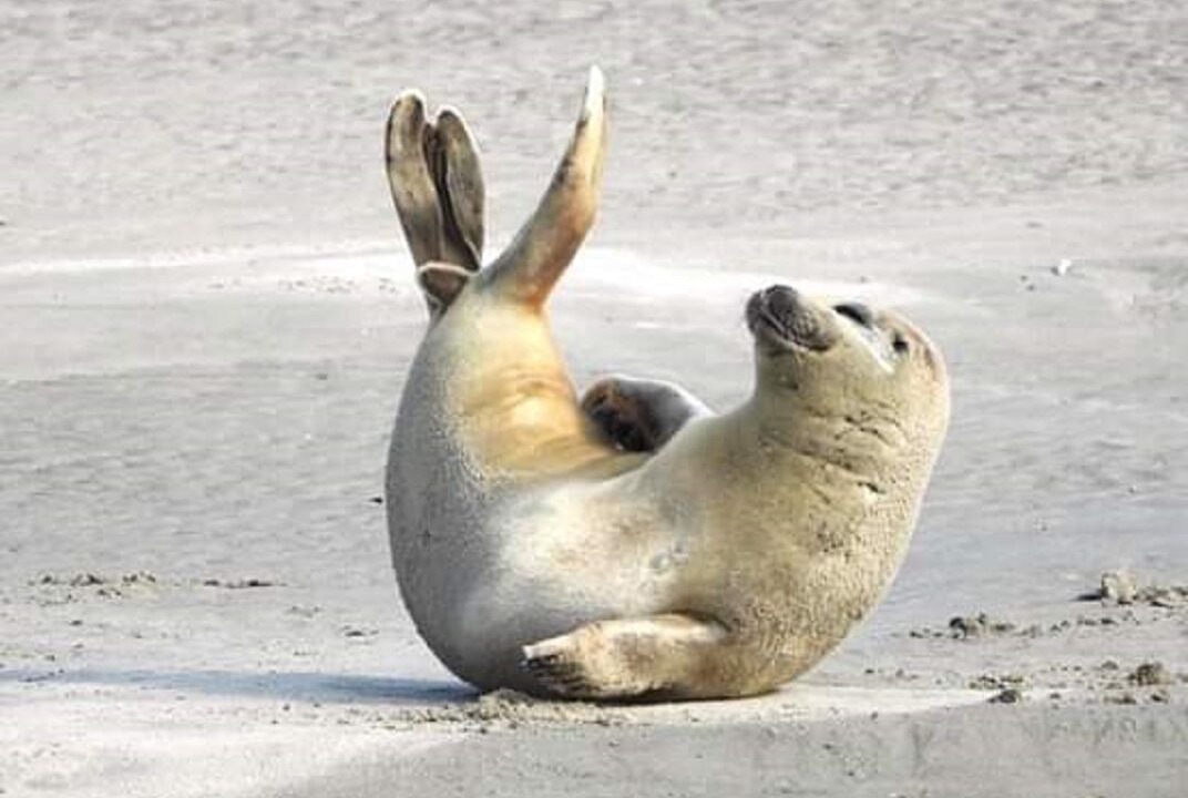 Photo of Others in Berck-sur-Mer