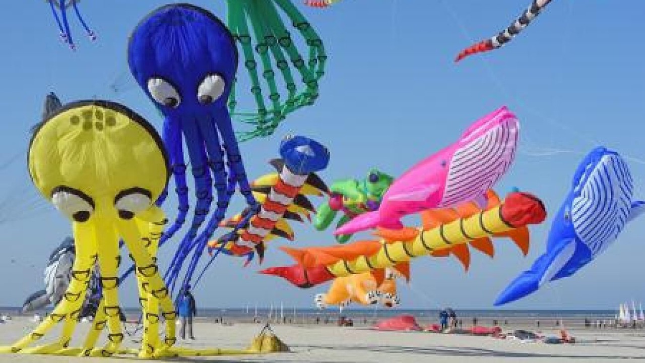 Photo of Others in Berck-sur-Mer