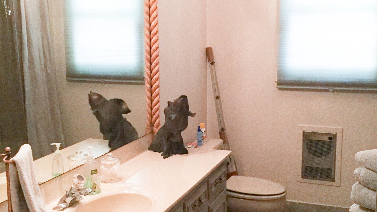 Photo of Bathroom in Lincolnton