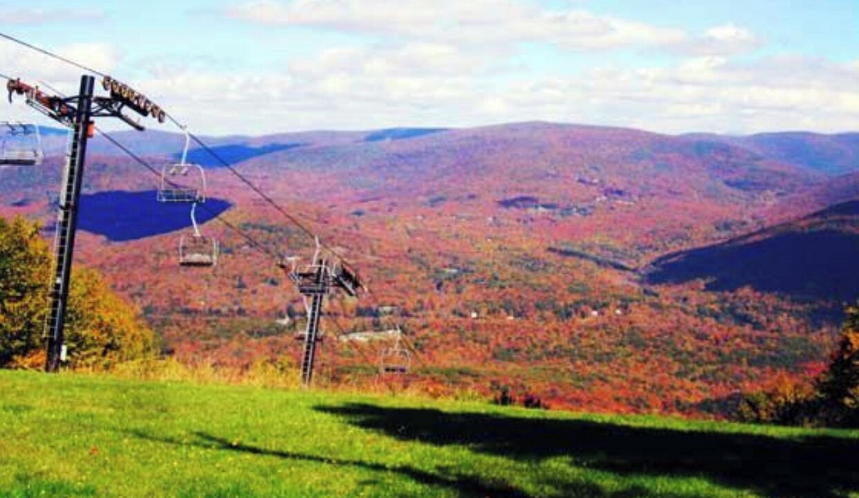 Photo of Others in Arkville