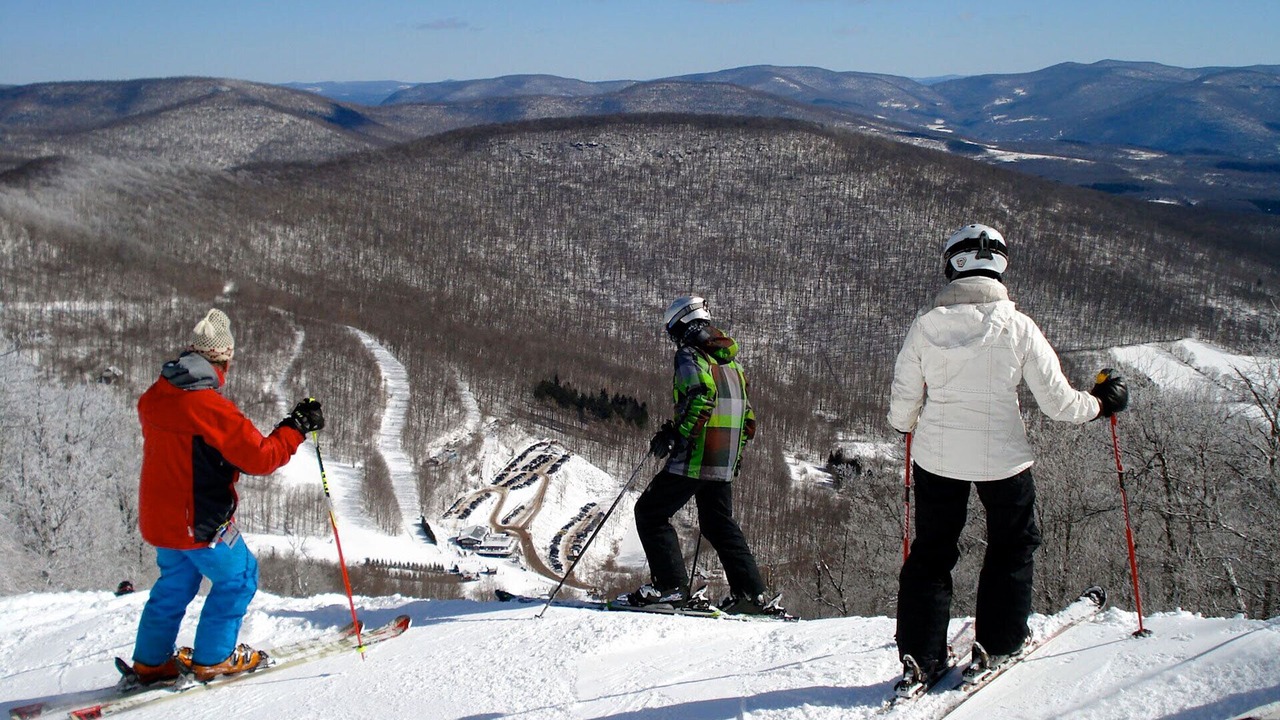 Photo of Others in Arkville