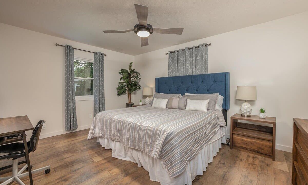 Photo of Others in Springfield