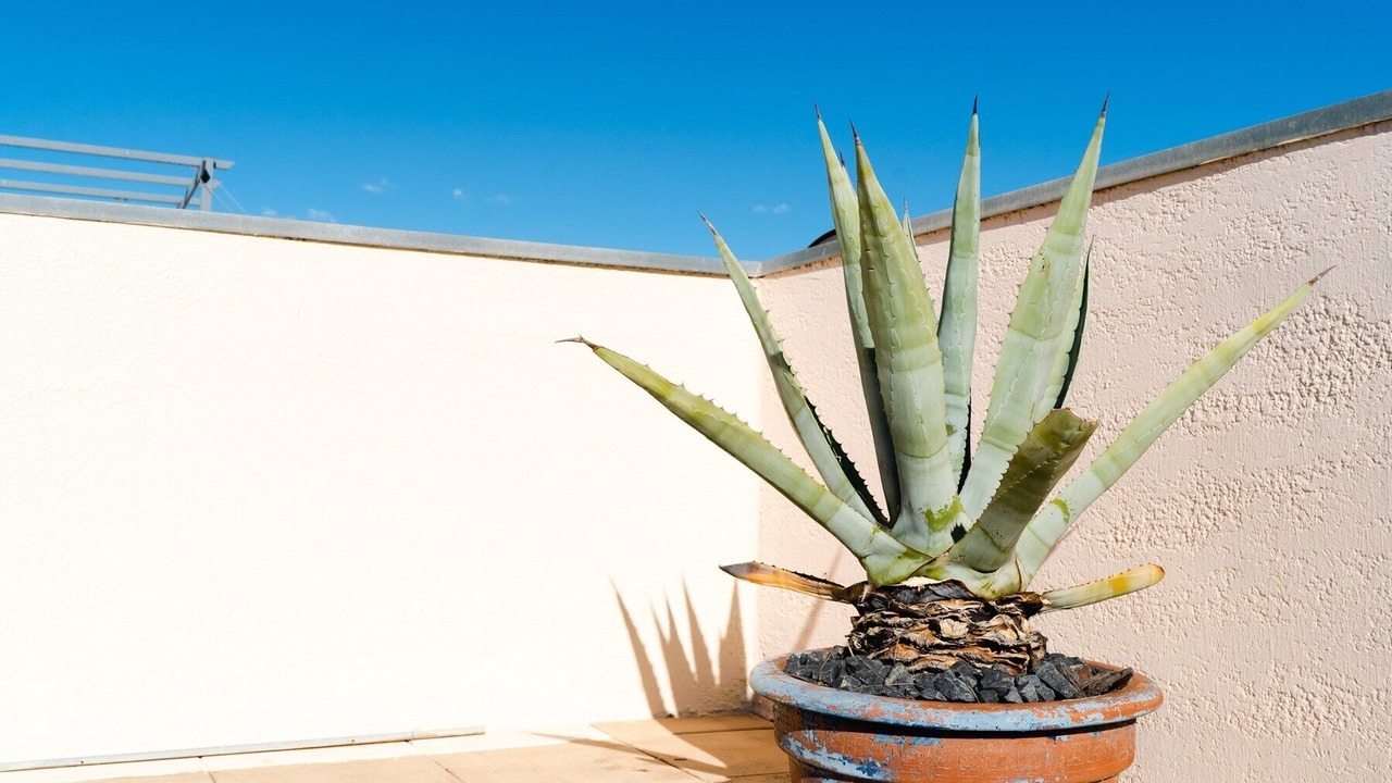 Photo of Outdoor in Foulquines
