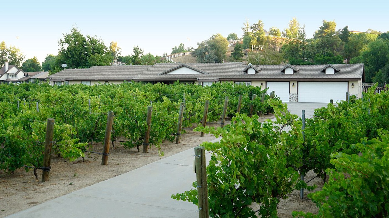 Photo of Outdoor in Temecula