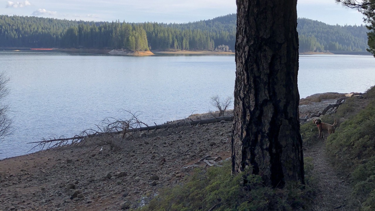 Photo of Outdoor in Placerville