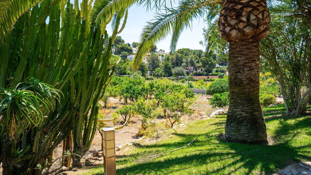 Photo of Outdoor in Benimeit