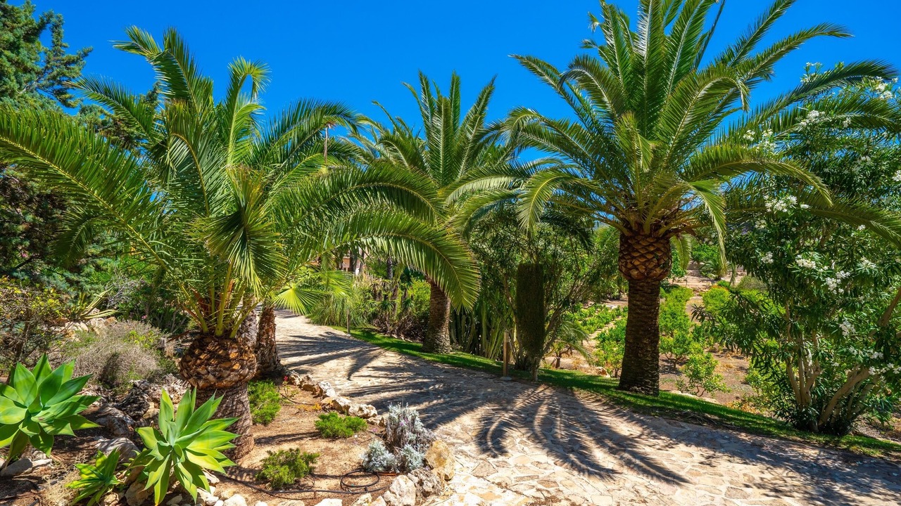 Photo of Outdoor in Benimeit