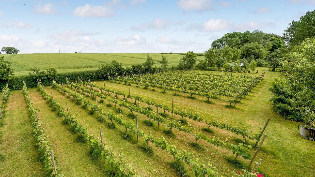 Photo of Others in Kegnæshøj