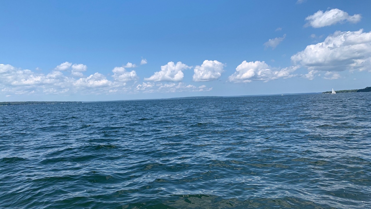 Photo of Others in Indian River