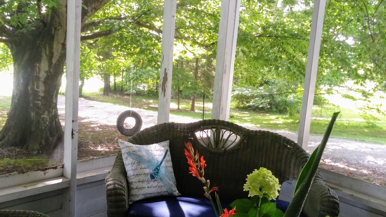 Photo of Patio Balcony in Winchester
